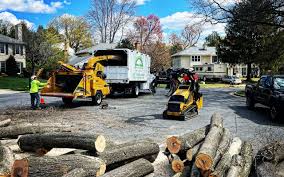 Leaf Removal in Lowell, MA